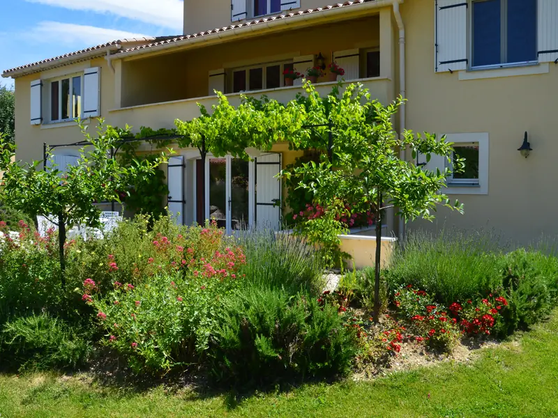 De ingang van de studio onder de pergola met druivenranken, met lavendel, valeriaan en rozen in de border