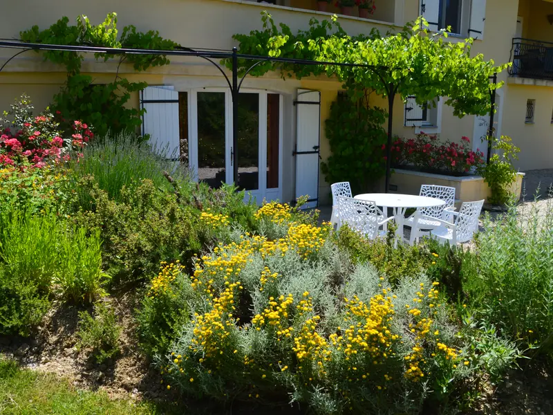 Het terras van de studio onder de pergola met druivenranken, met witte stoelen en een ronde tafel
